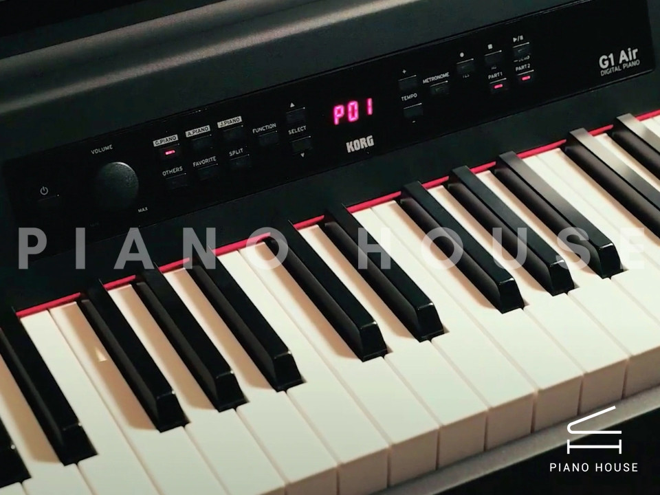 navy ostrich watch bands (4)