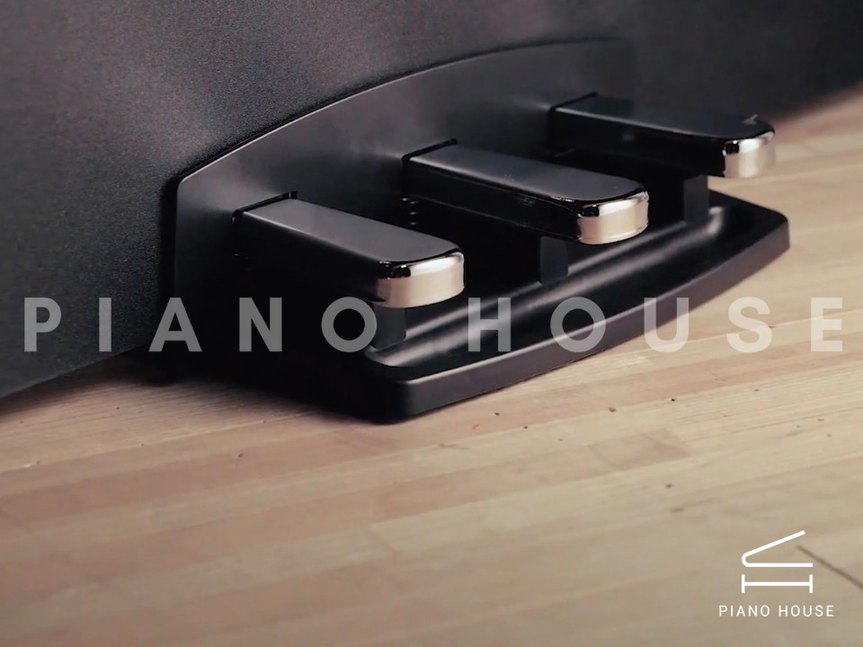 navy ostrich watch bands (4)