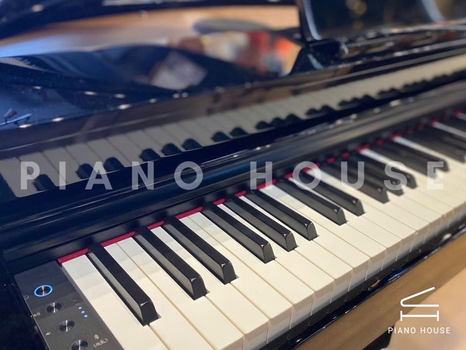 navy ostrich watch bands (4)