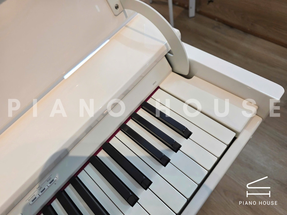 navy ostrich watch bands (4)