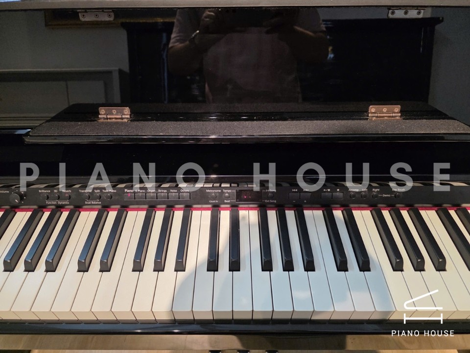 navy ostrich watch bands (4)