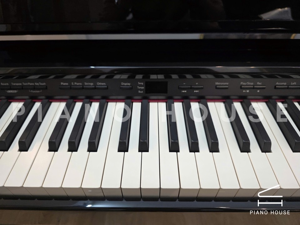 navy ostrich watch bands (4)