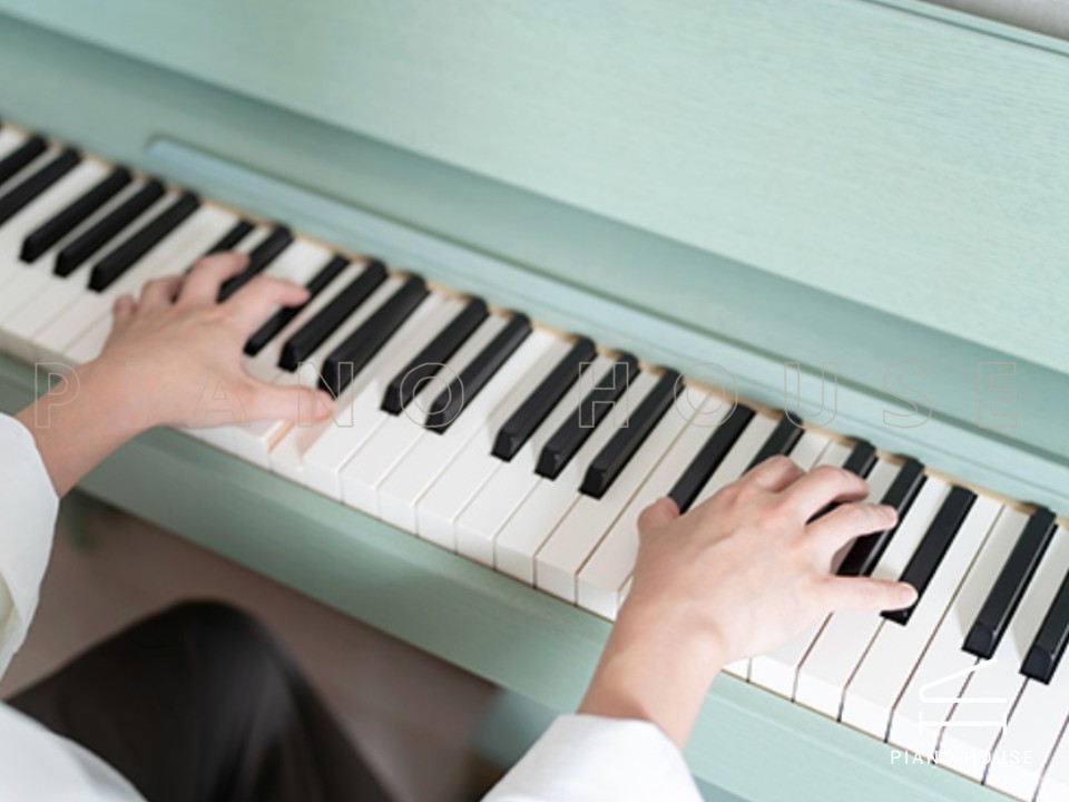 ROLAND Kiyola KF-20 KG