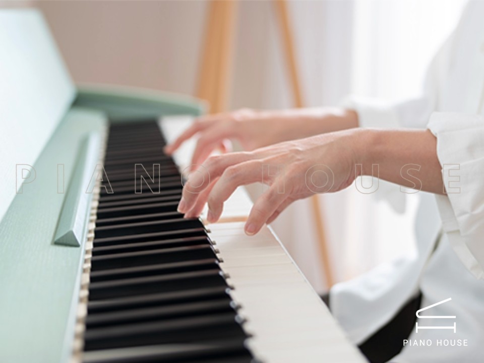 ROLAND Kiyola KF-20 KG