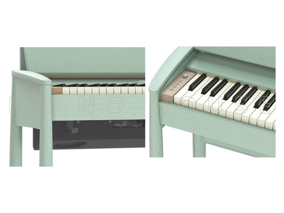 ROLAND Kiyola KF-20 KG