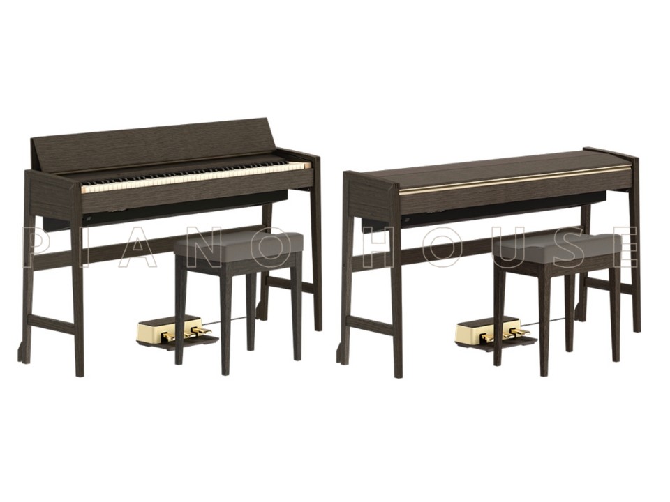 ROLAND Kiyola KF-25 KSO