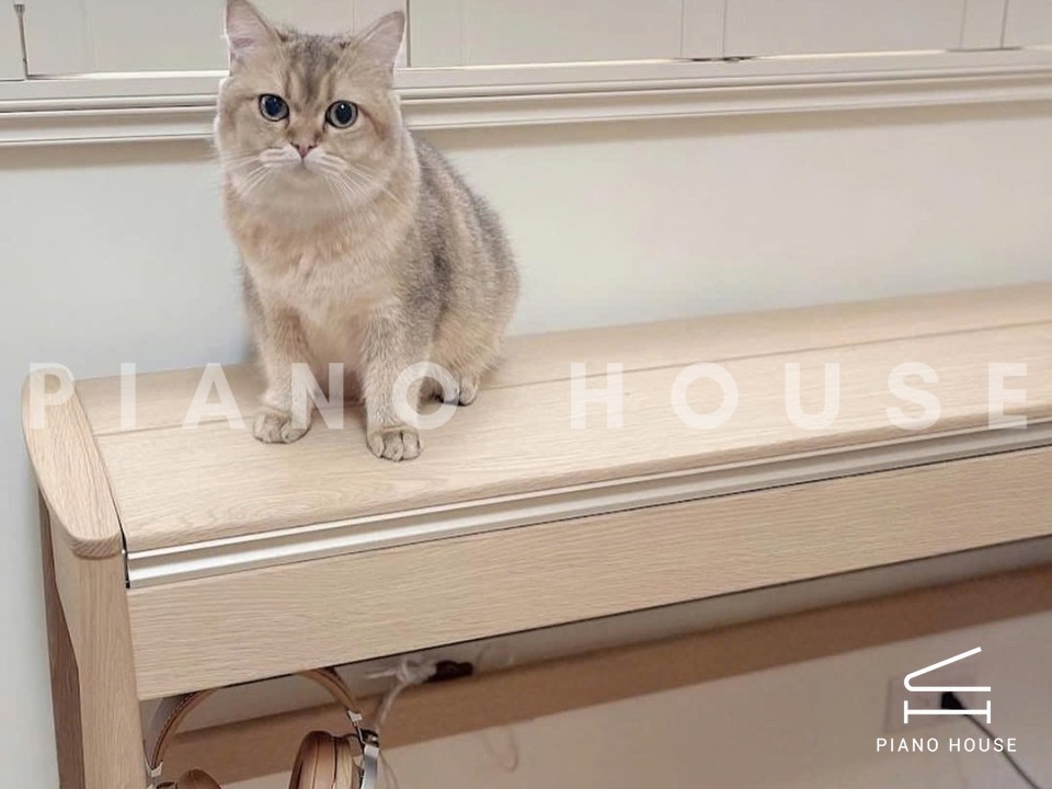 navy ostrich watch bands (4)