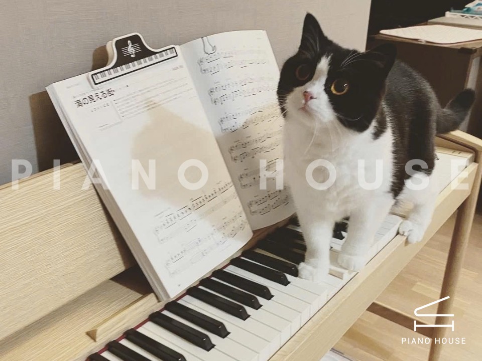 navy ostrich watch bands (4)