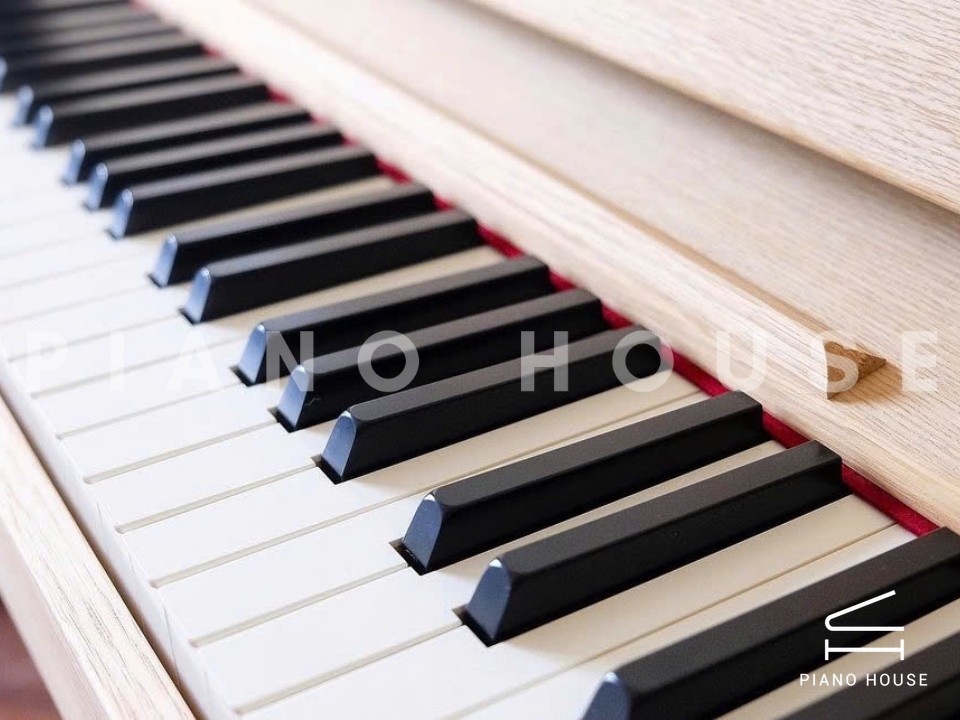 navy ostrich watch bands (4)