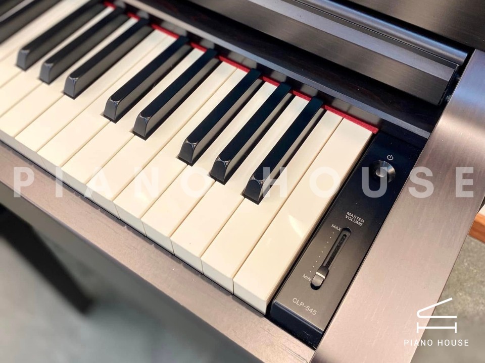 navy ostrich watch bands (4)