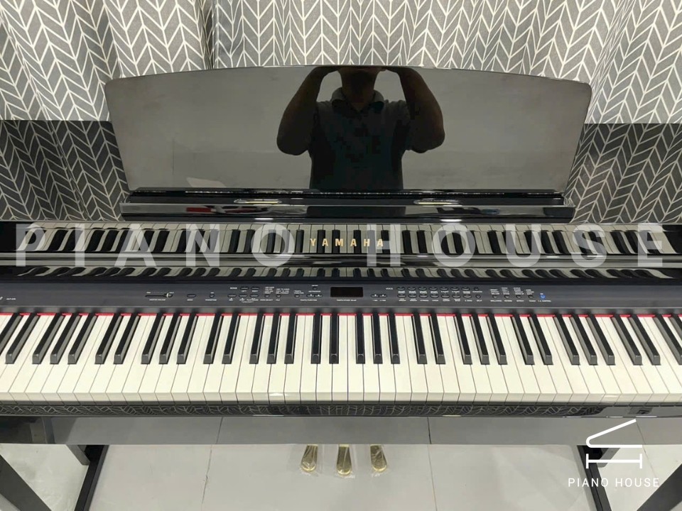 navy ostrich watch bands (4)