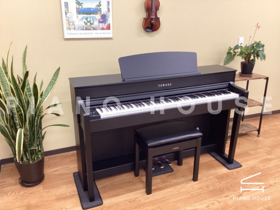 navy ostrich watch bands (4)