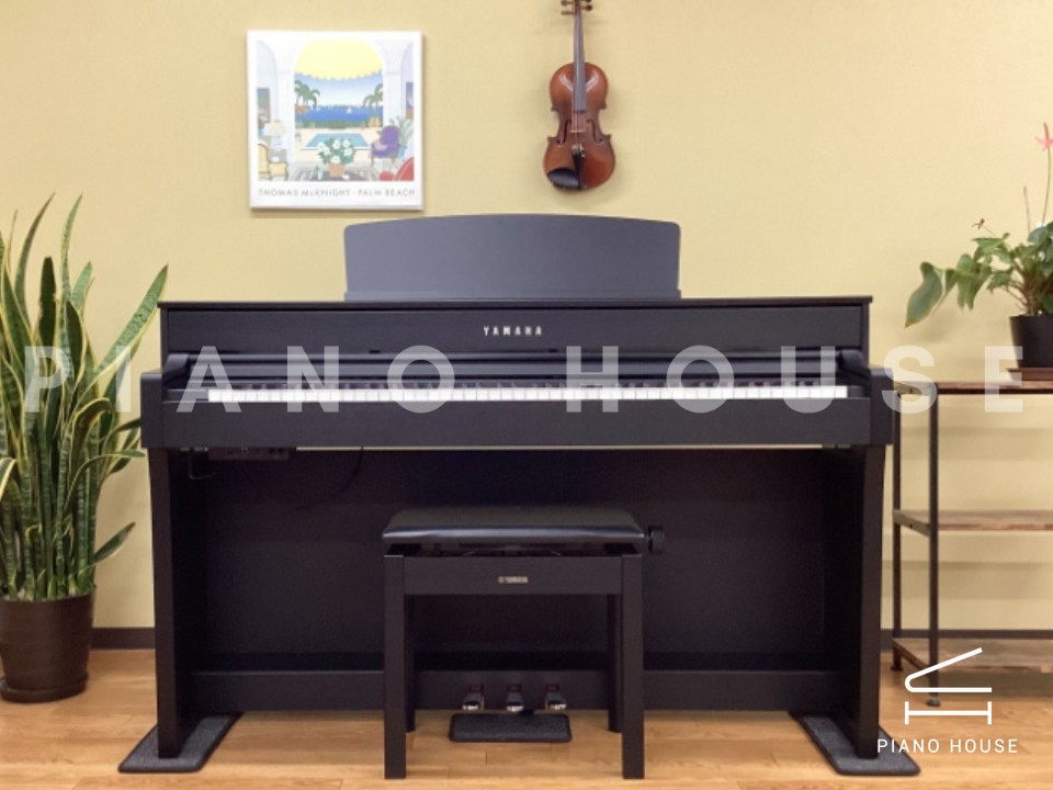 navy ostrich watch bands (4)