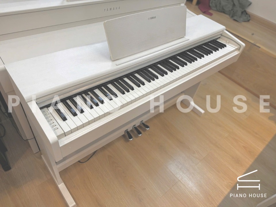 navy ostrich watch bands (4)