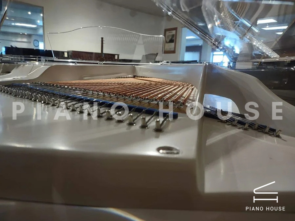 navy ostrich watch bands (4)