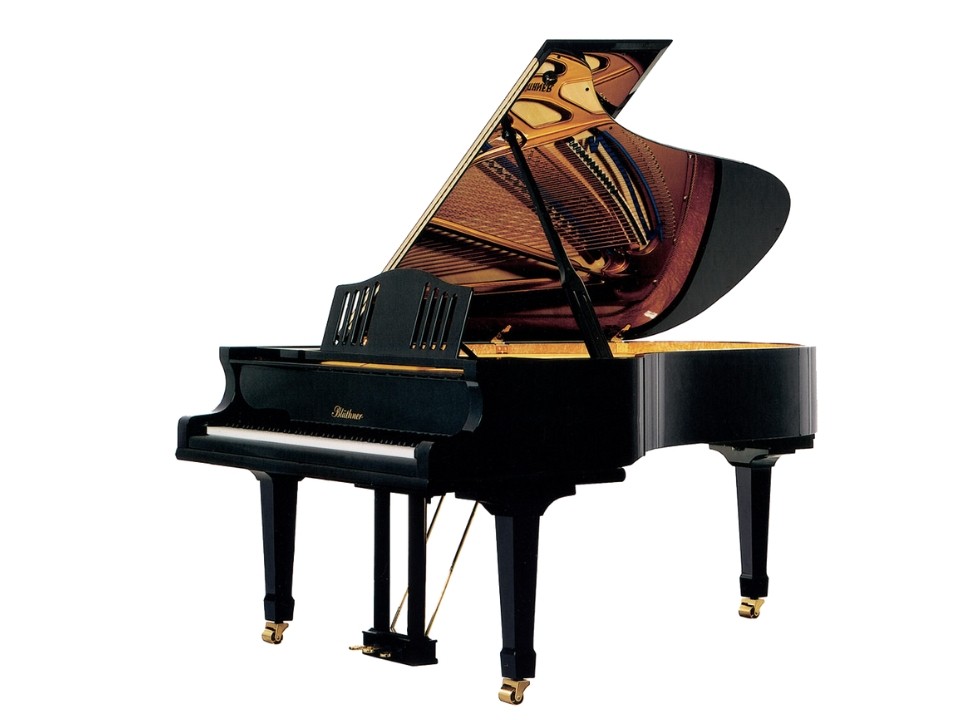 navy ostrich watch bands (4)