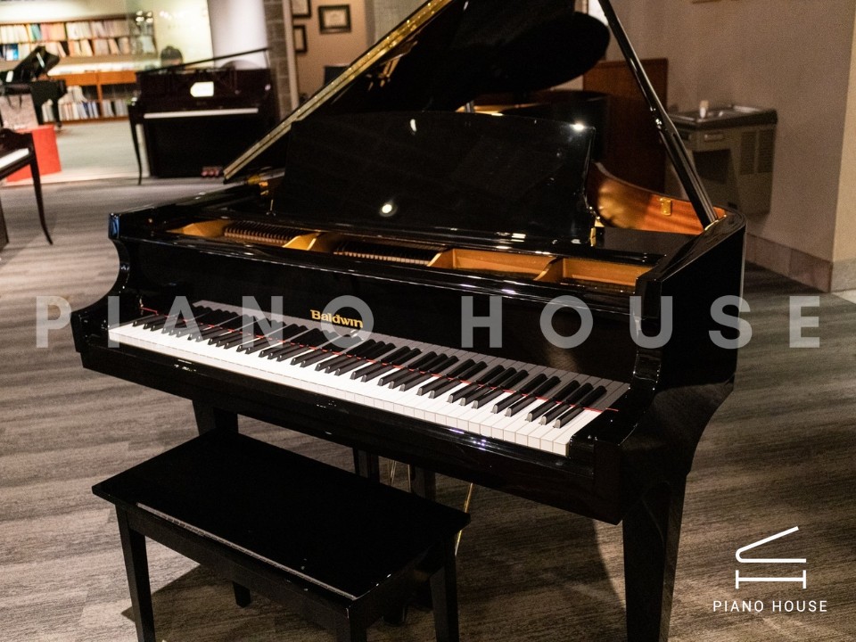 navy ostrich watch bands (4)