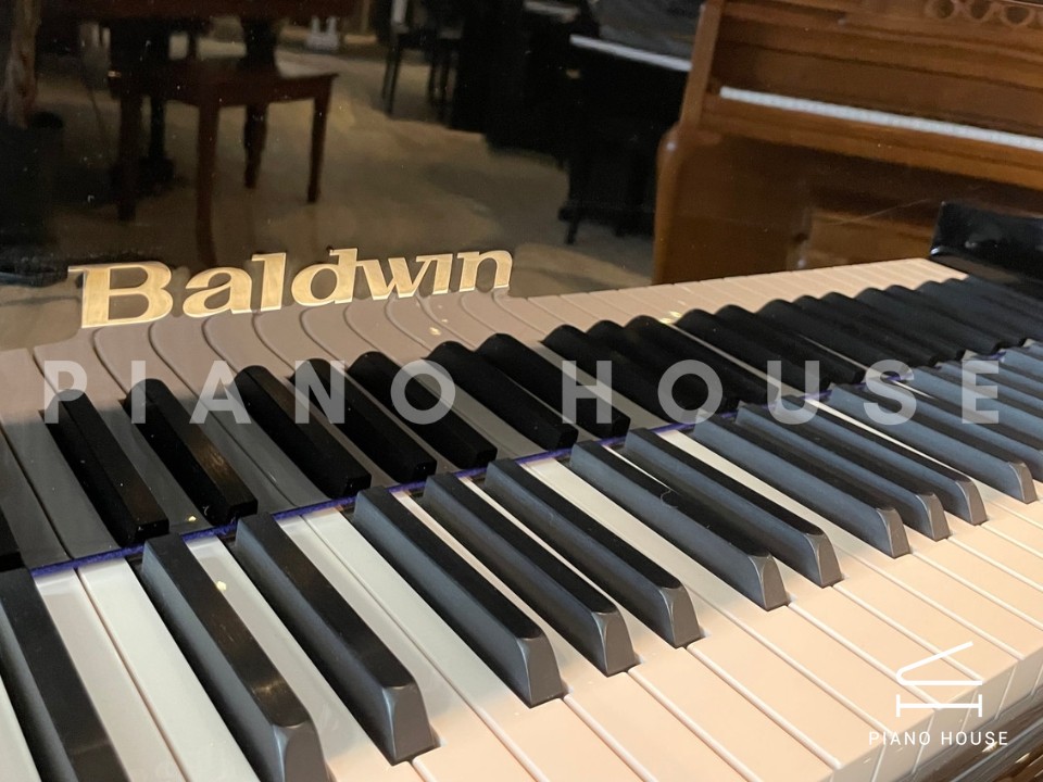 navy ostrich watch bands (4)