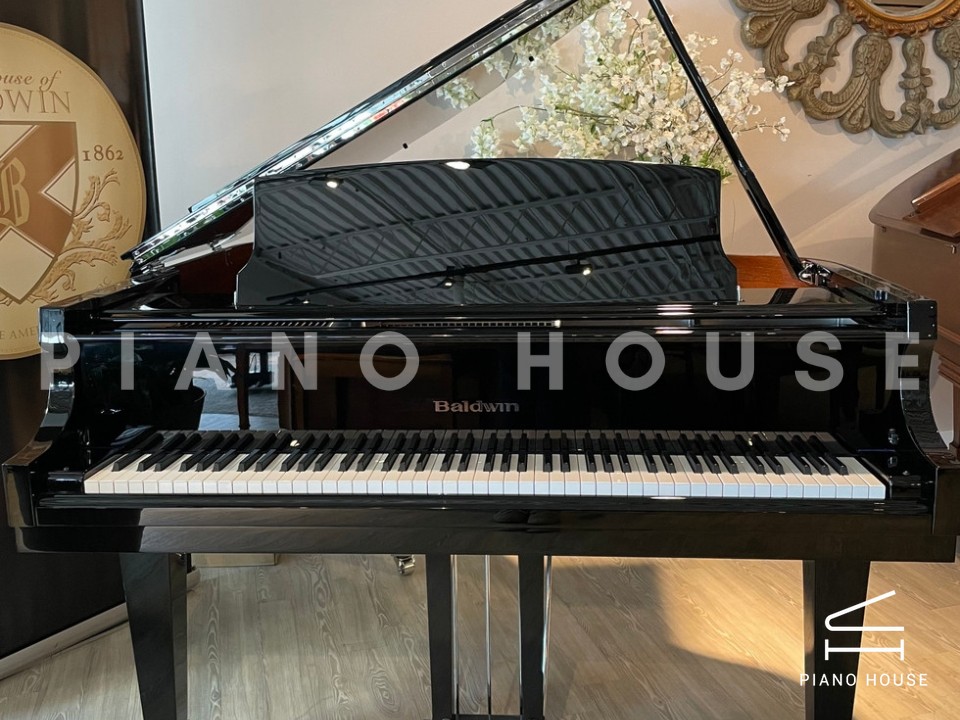 navy ostrich watch bands (4)