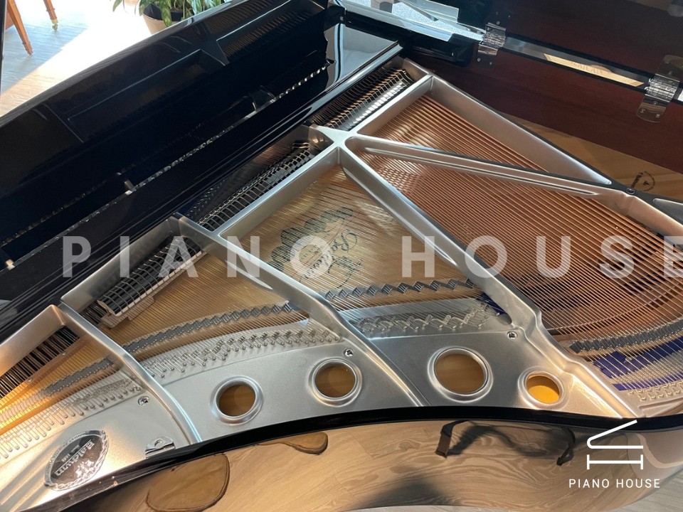 navy ostrich watch bands (4)