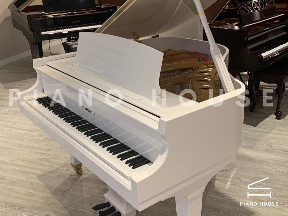 navy ostrich watch bands (4)