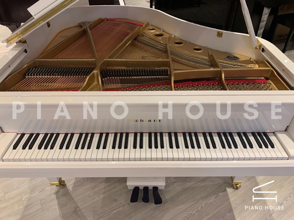 navy ostrich watch bands (4)