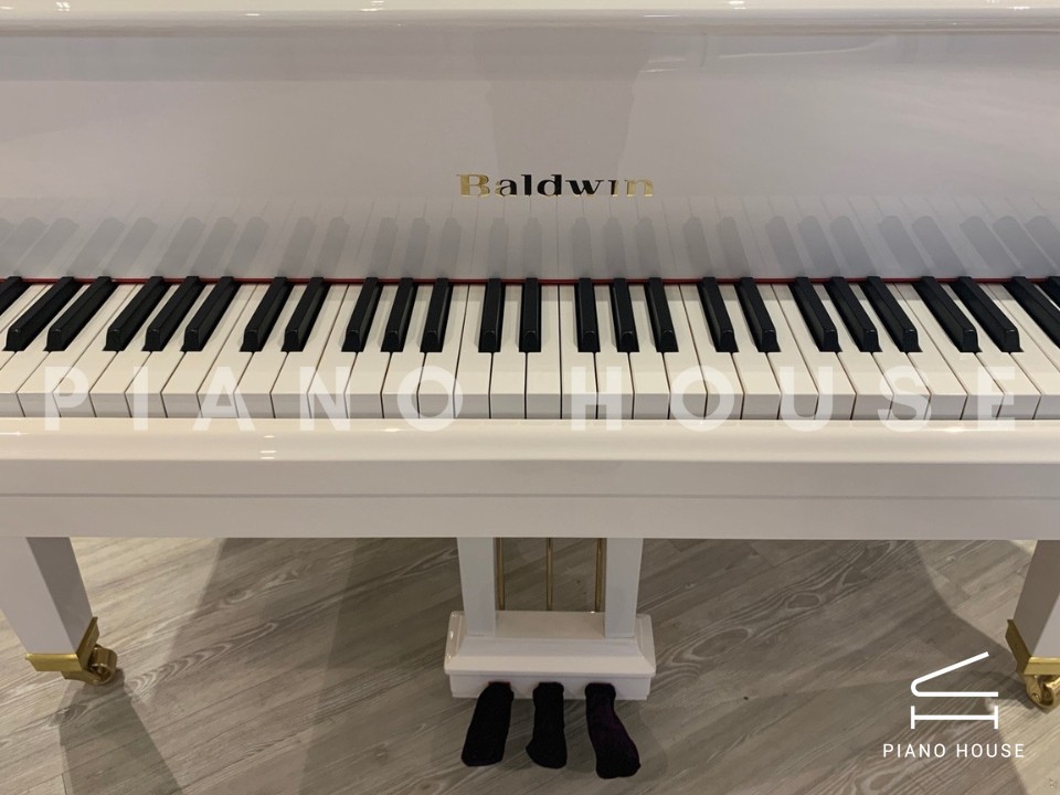 navy ostrich watch bands (4)