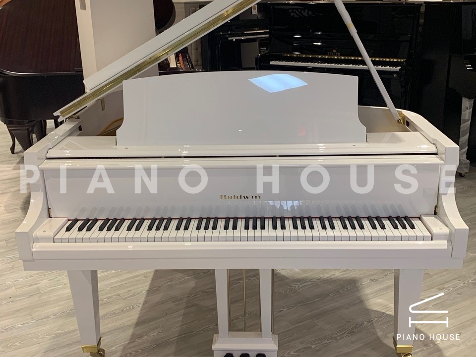 navy ostrich watch bands (4)