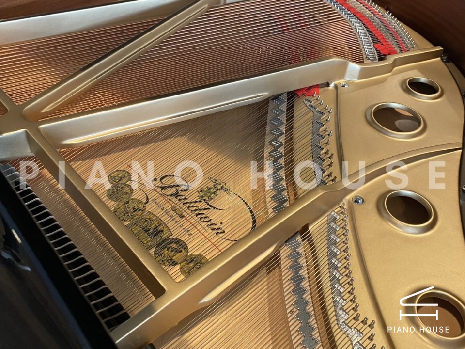 navy ostrich watch bands (4)