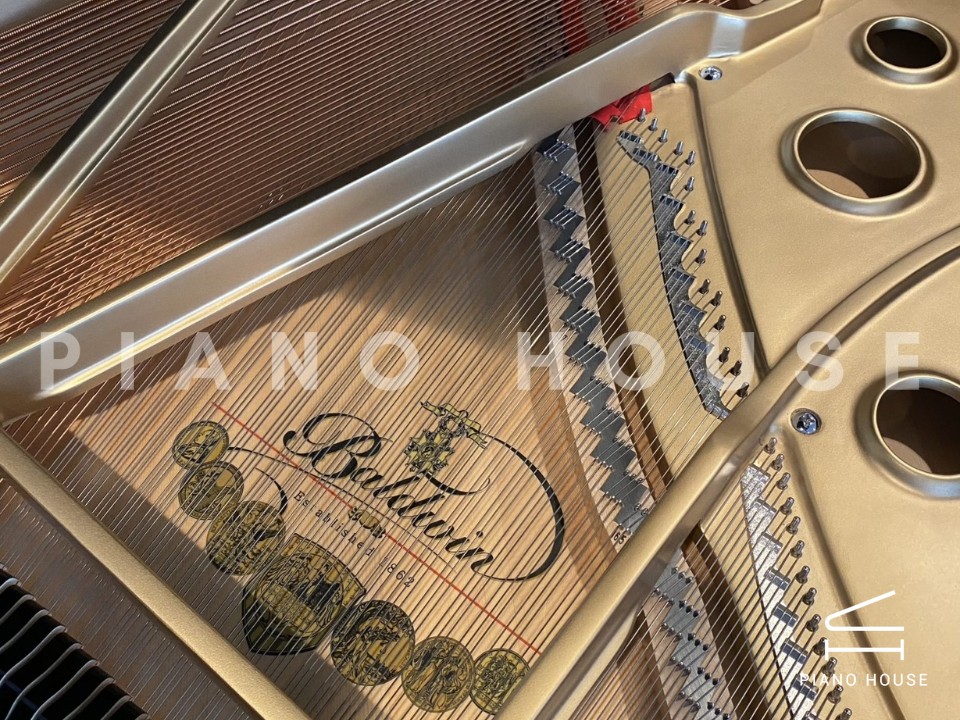 navy ostrich watch bands (4)