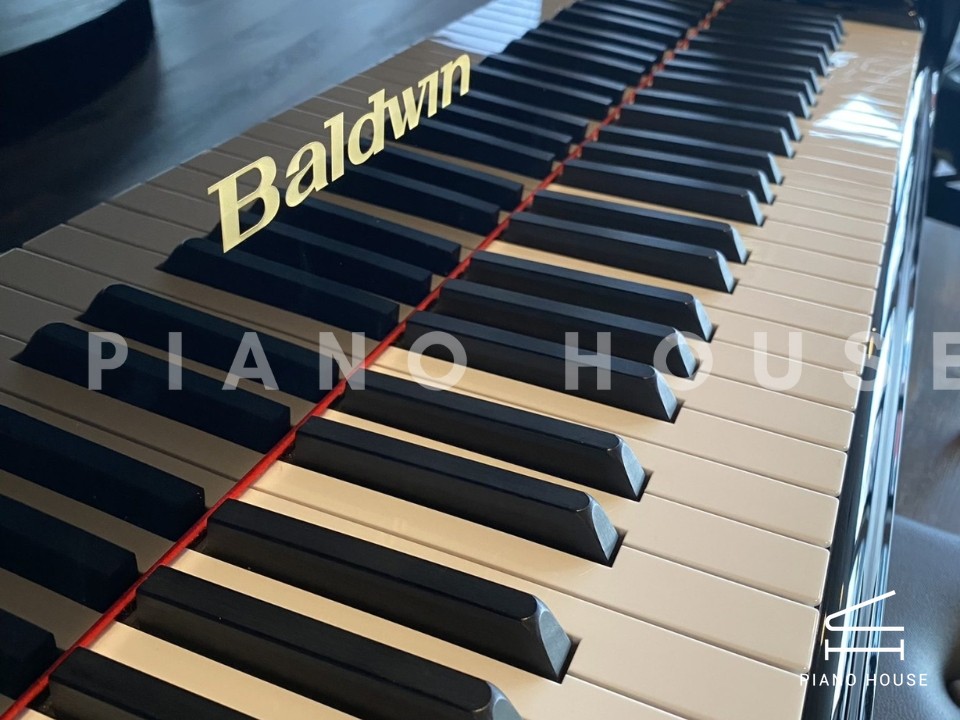 navy ostrich watch bands (4)