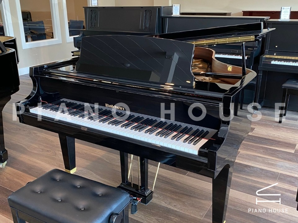 navy ostrich watch bands (4)