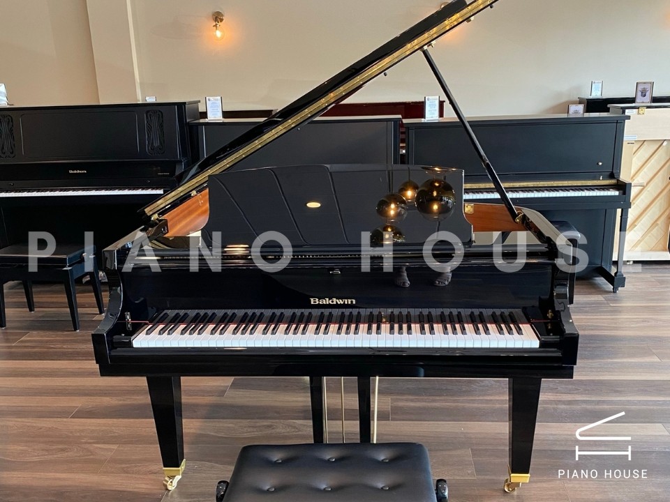 navy ostrich watch bands (4)