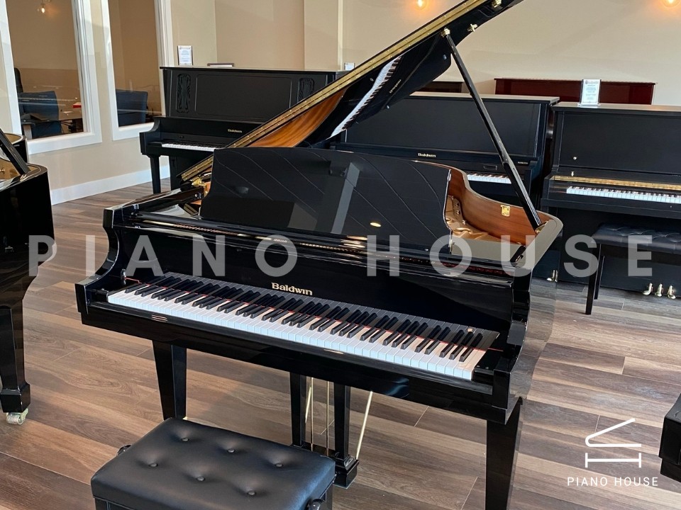 navy ostrich watch bands (4)