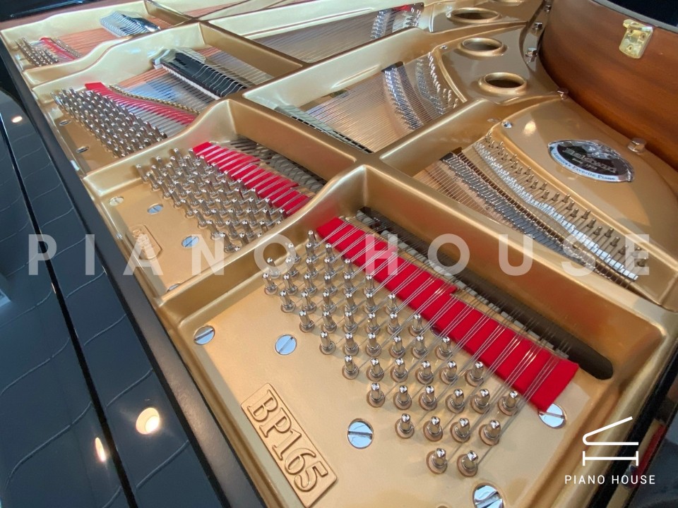 navy ostrich watch bands (4)