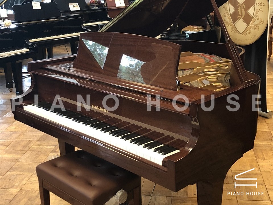 navy ostrich watch bands (4)