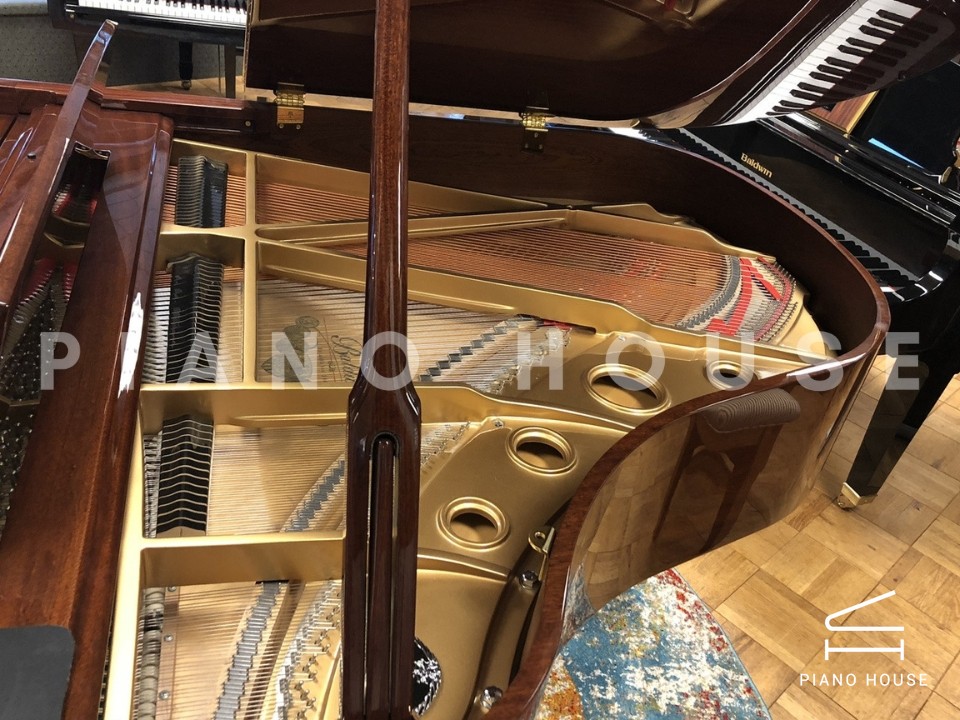 navy ostrich watch bands (4)