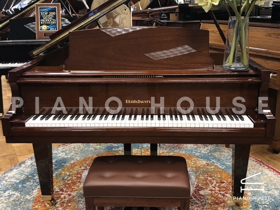 navy ostrich watch bands (4)