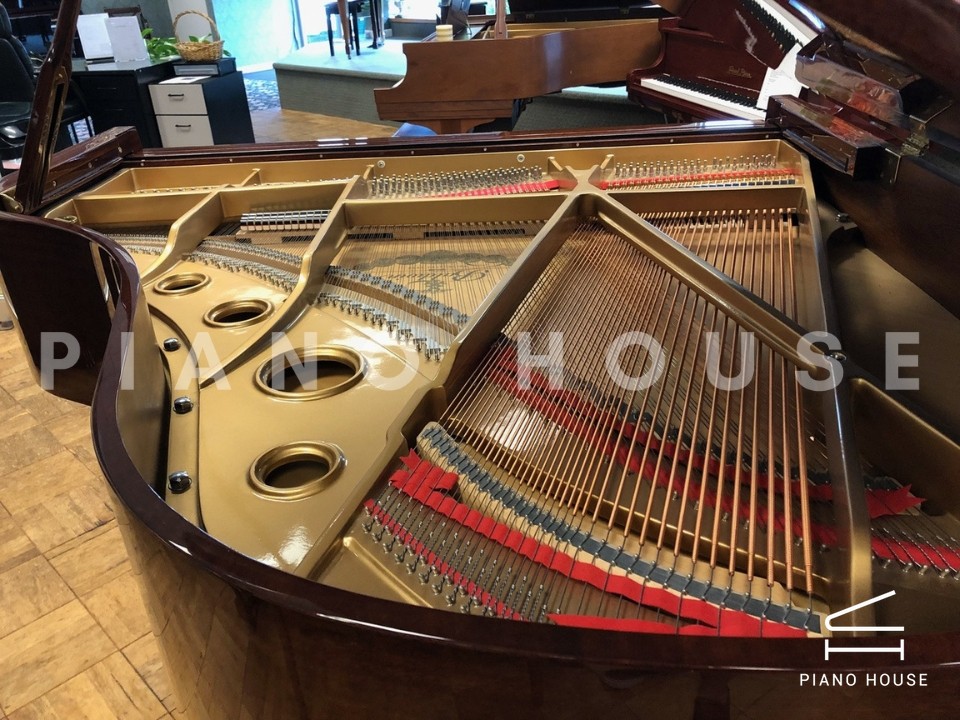 navy ostrich watch bands (4)