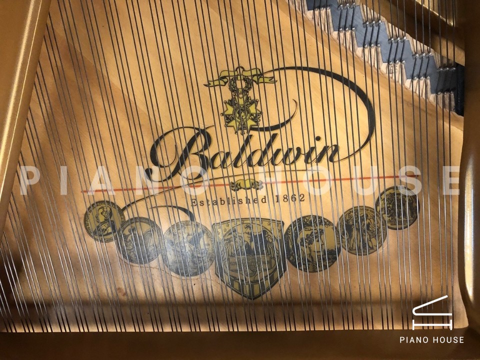 navy ostrich watch bands (4)