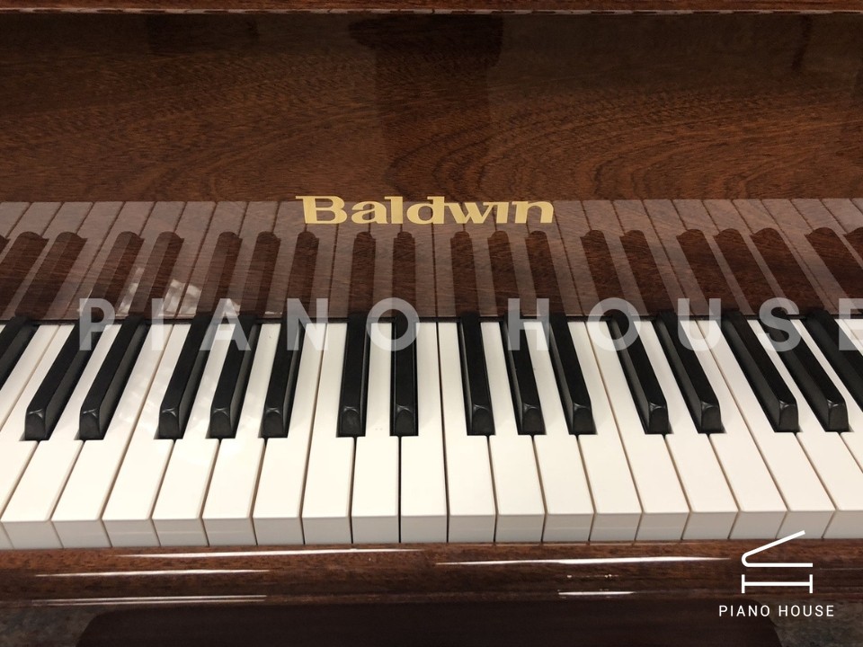 navy ostrich watch bands (4)