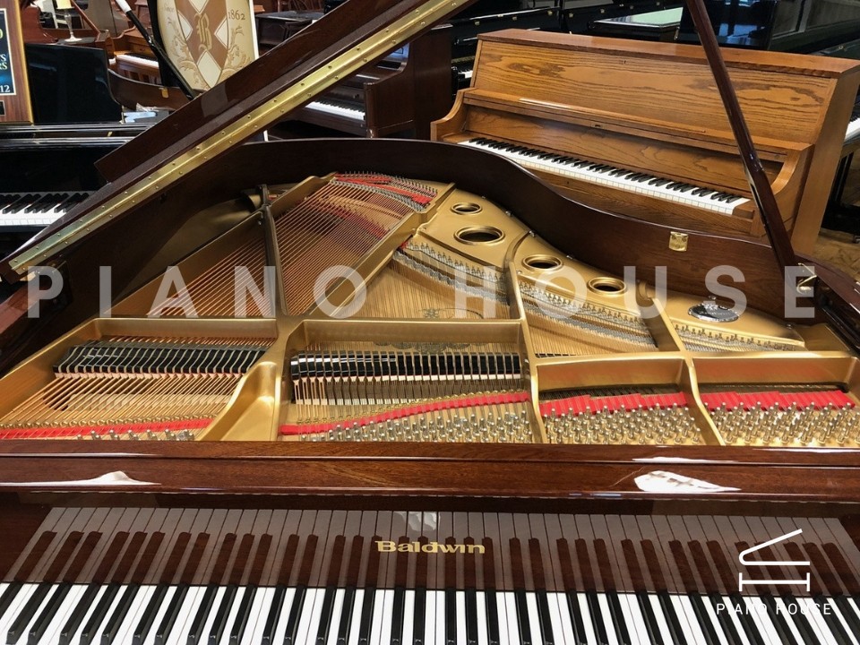 navy ostrich watch bands (4)