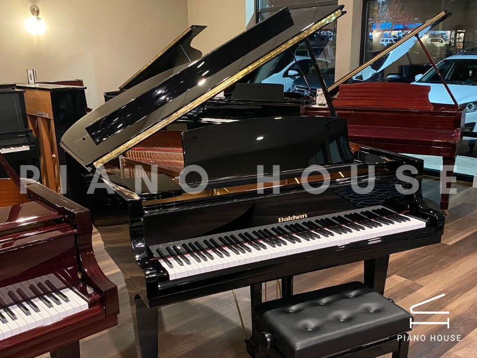 navy ostrich watch bands (4)