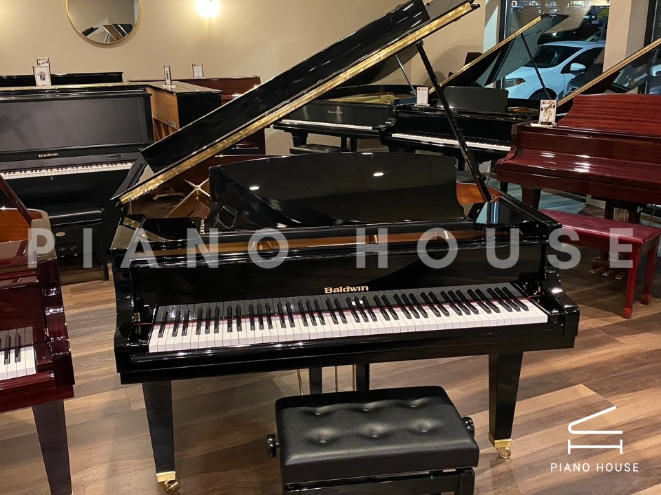 navy ostrich watch bands (4)