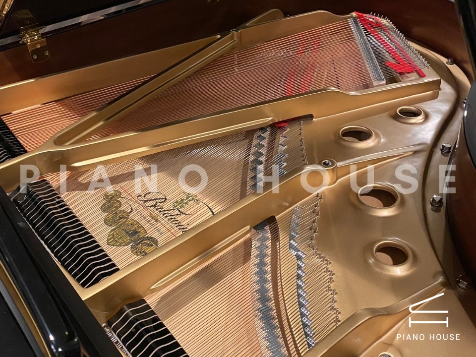 navy ostrich watch bands (4)