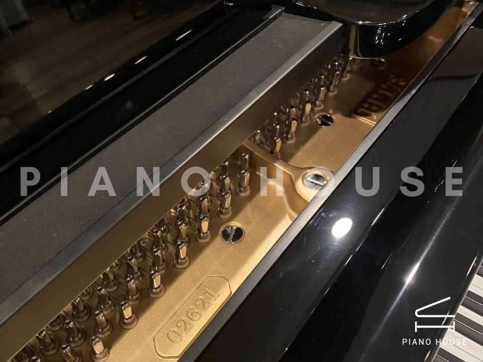 navy ostrich watch bands (4)