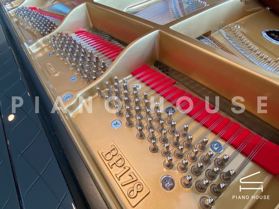 navy ostrich watch bands (4)