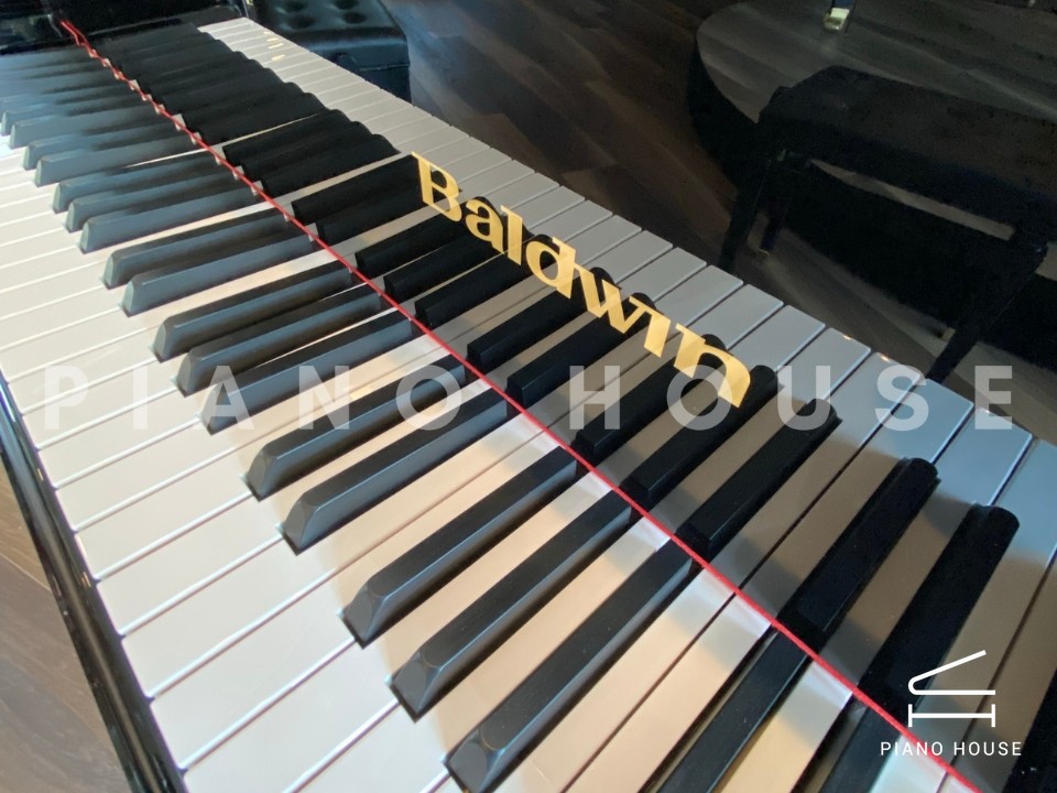 navy ostrich watch bands (4)