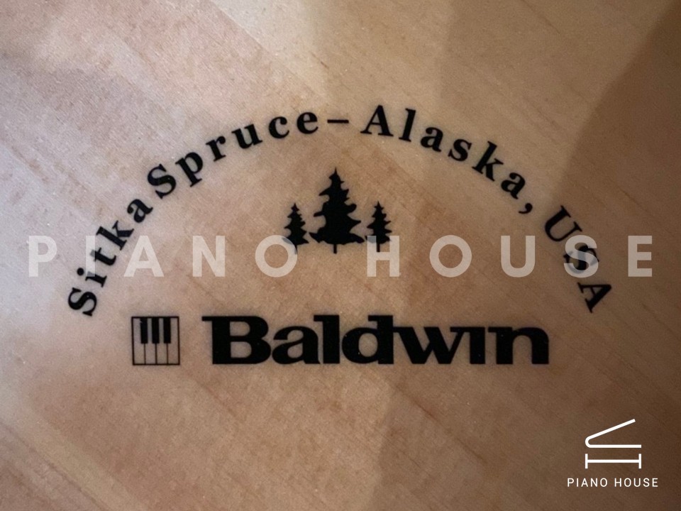 navy ostrich watch bands (4)