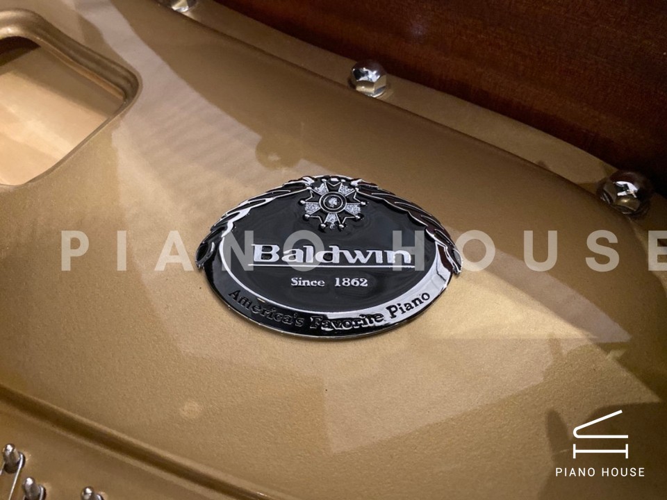 navy ostrich watch bands (4)